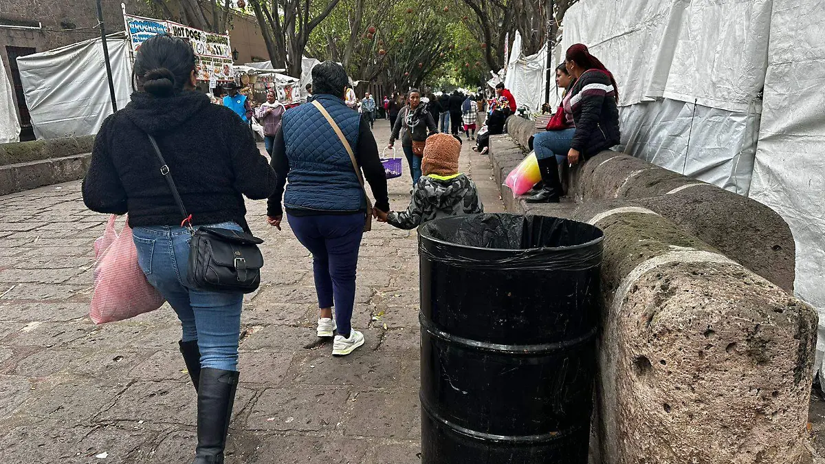 Botes de basura en la calzada3